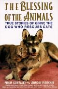 (amazon.com)